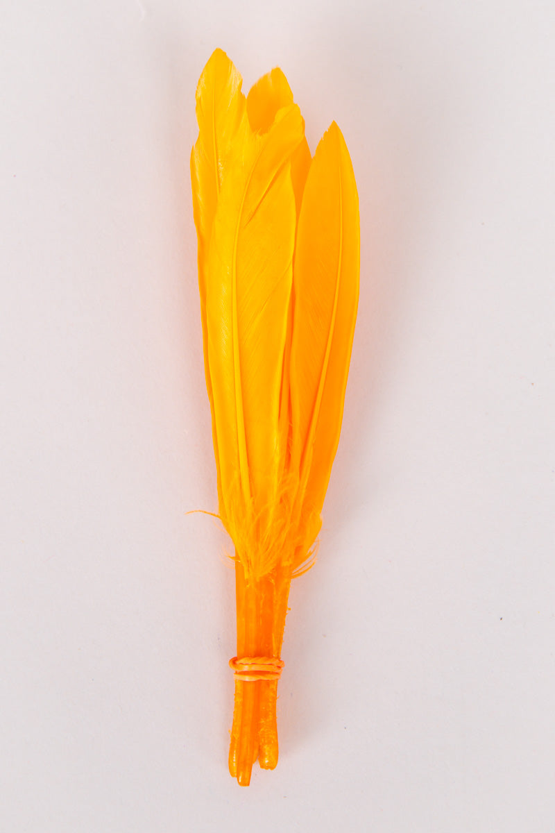 Mini Goose Feathers Bundle of 6- Orange Band