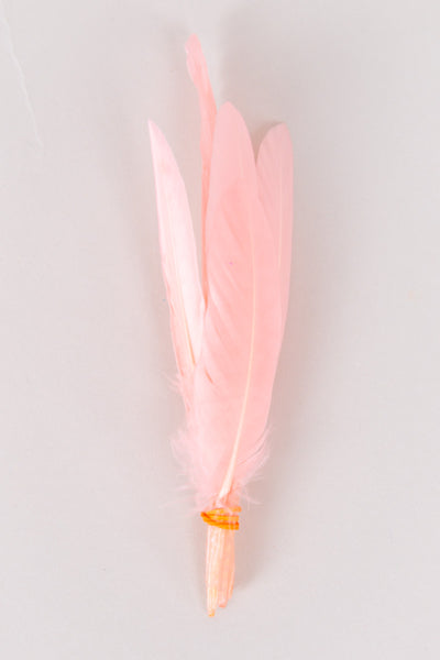 Mini Goose Feathers Bundle of 6- Orange Band