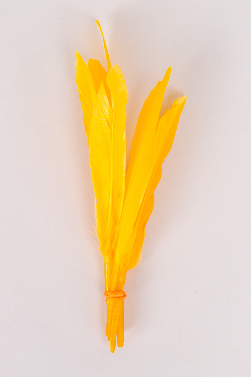 Mini Goose Feathers Bundle of 6- Orange Band