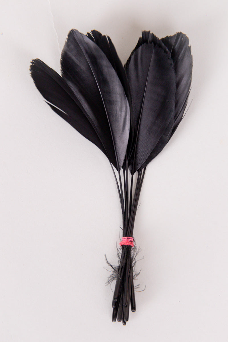 Stripped Coque Feathers Bundle of 8- Red Band