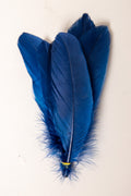 Goose Feathers Bundle of 6 - Yellow Rubber Band - FINAL SALE