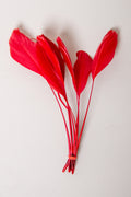 Stripped Coque Feathers Bundle of 8- Red Rubber Band