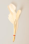 Stripped Coque Feathers Bundle of 8- Red Rubber Band